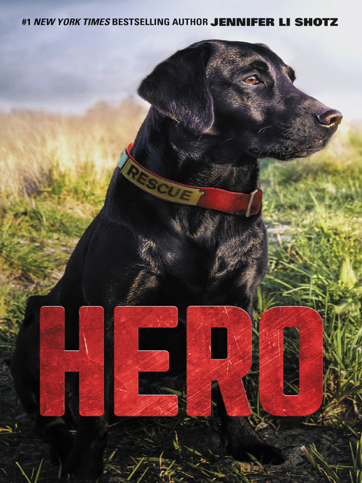 Title details for Hero by Jennifer Li Shotz - Available